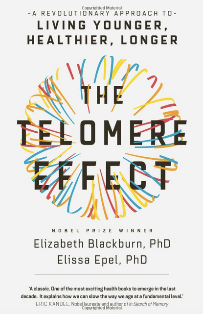 Screen Shot 2019-04-07 at 9.09.30 AM.png